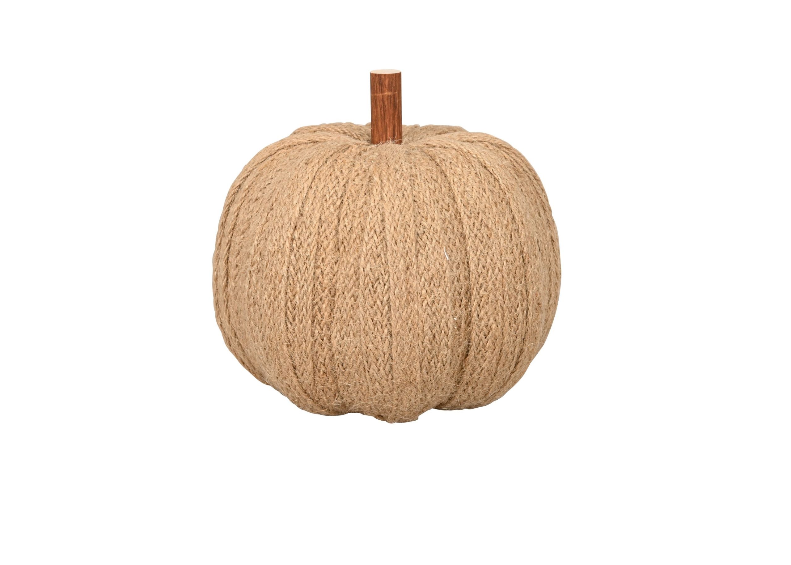 Zucca decorativa naturale