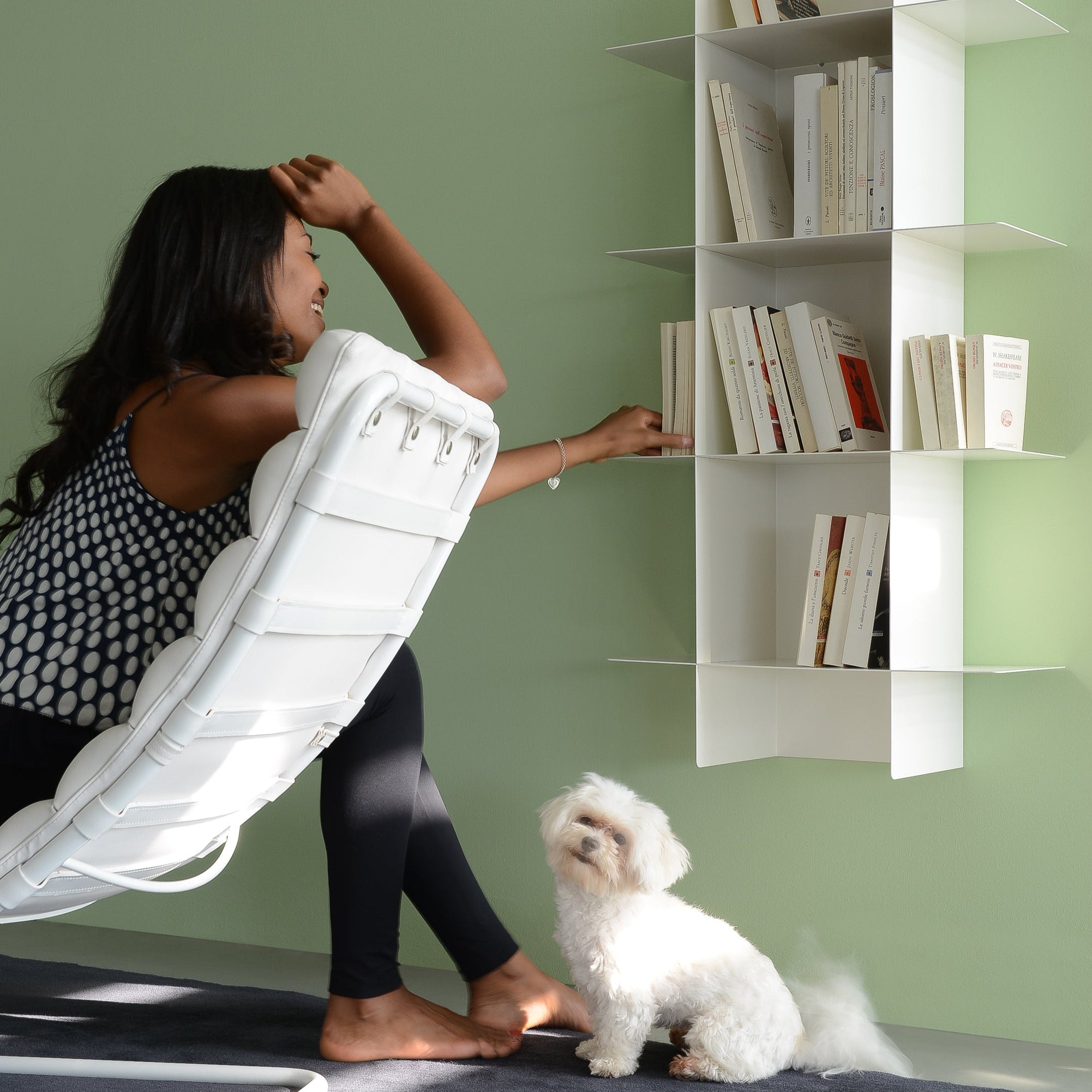 Innesto Libreria a Parete