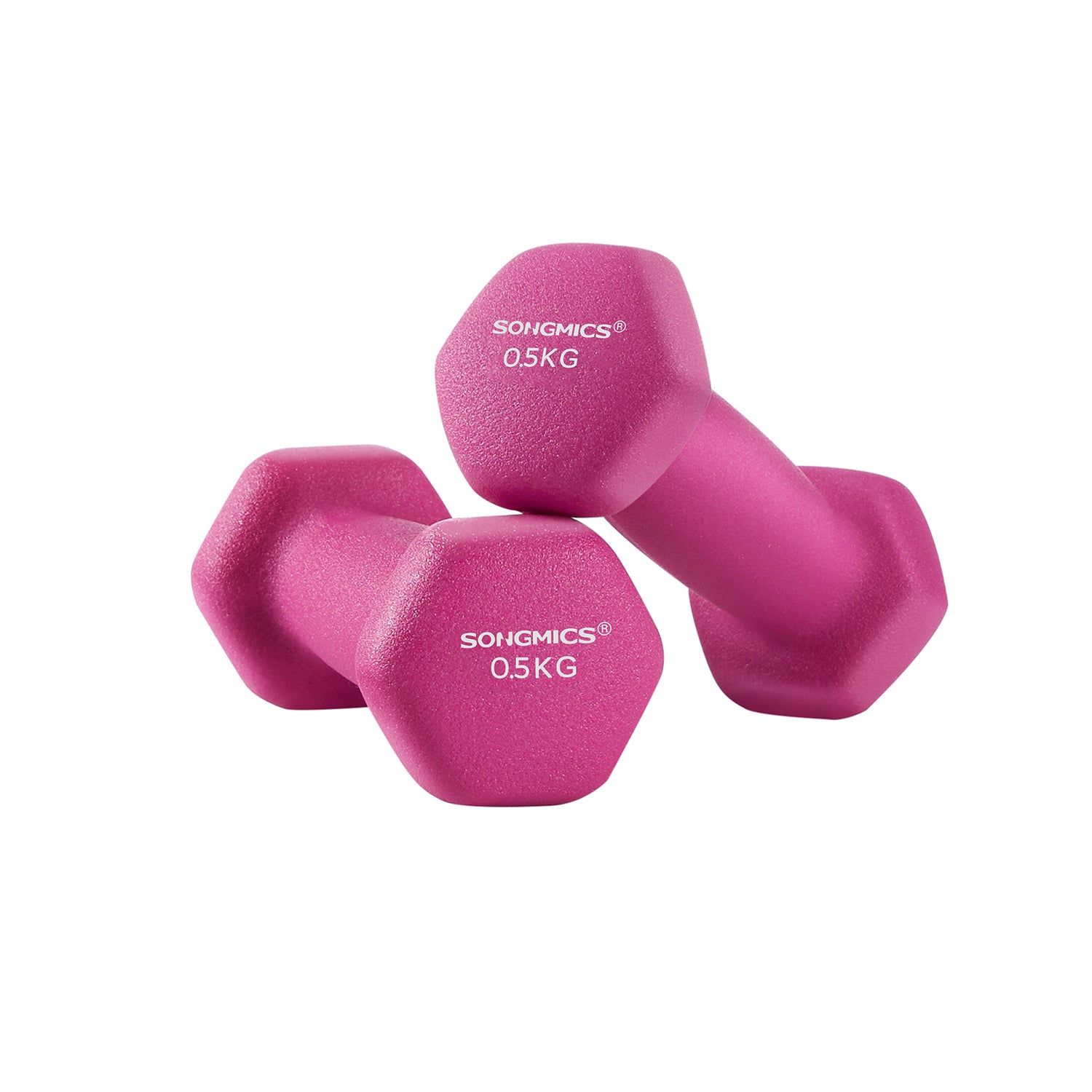 Set di 2 Manubri da 0,5 kg