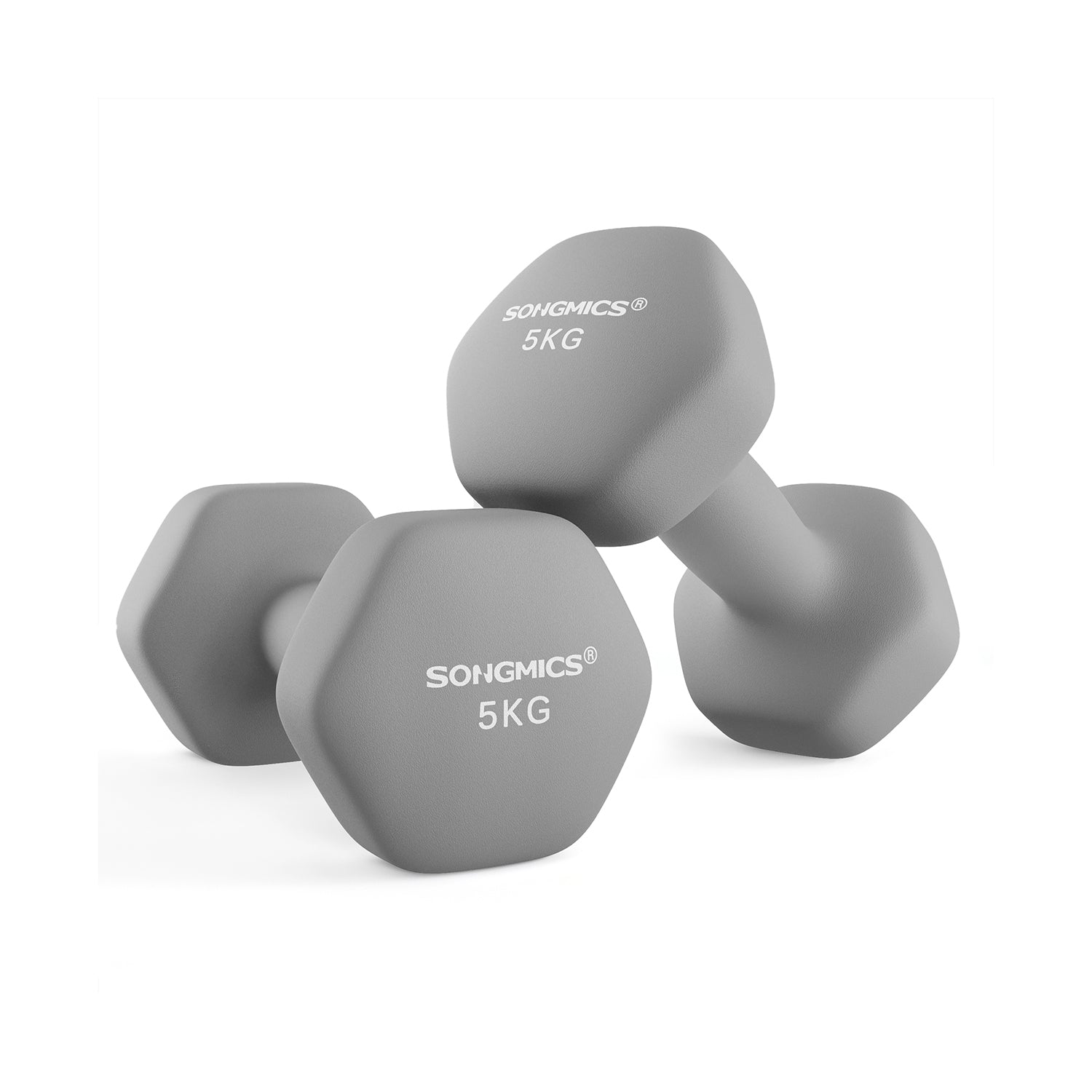 Set di 2 Manubri 2x5 kg con Superficie in Vinile Grigio